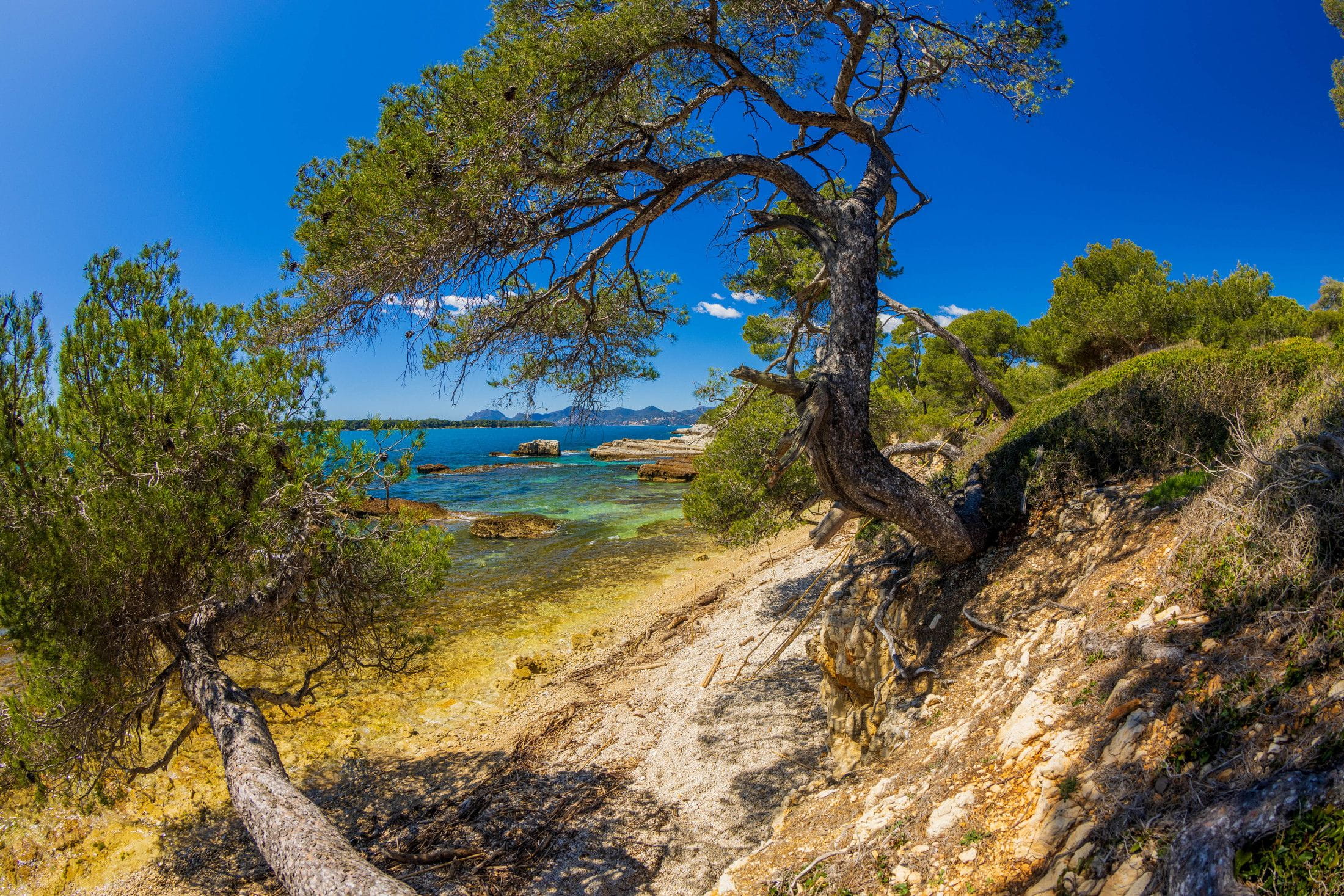 Lérins Sainte-Marguerite 2024